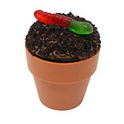 H-E-B Flower Pot Gummy Worm & Chocolate Dirt Cupcake