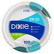 Dixie Everyday 10 in Paper Plates