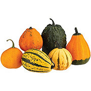 H-E-B Texas Roots Autumn Galore Pumpkin