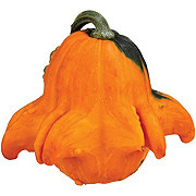 H-E-B Texas Roots Gizmo Pumpkin