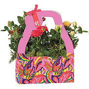 BLOOMS by H-E-B Deluxe Plant Gift Bag