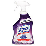 Lysol Mold & Mildew Remover with Bleach Cleaner Spray