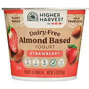 Higher Harvest by H-E-B Dairy-Free Almond-Based Yogurt – Strawberry