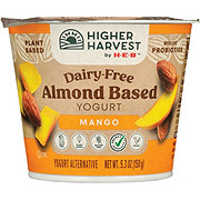 Higher Harvest by H-E-B Dairy-Free Almond-Based Yogurt – Mango