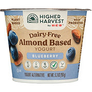 Higher Harvest by H-E-B Dairy-Free Almond-Based Yogurt – Blueberry