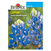 Burpee Annual Lupine Texas Bluebonnet Seeds