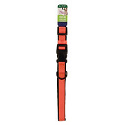 Pet Attire Padded Collar 18-26in Coral