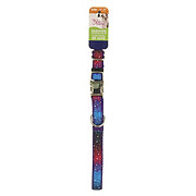 Pet Attire Canvas Ribbon Collar 5/8X12-18in Galaxy