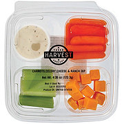 Texas Harvest Snack Tray - Carrots, Celery, Cheese & Ranch Dip