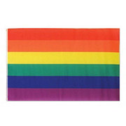 Beistle Fabric Pride Rainbow Flag