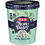 H-E-B Select Ingredients Minty Choco Chip Non-Dairy Frozen Dessert