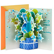 Hallmark Someone to Celebrate Paper Wonder Pop-Up Birthday Card - E50, E14
