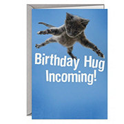 Hallmark Shoebox Flying Cat Funny Birthday Card - E36