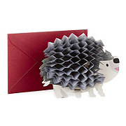 Hallmark 3D Honeycomb Hedgehog Pop Up Birthday Card - E4, E2