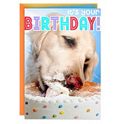 Hallmark Dog Eating Birthday Cake Birthday Card - E21