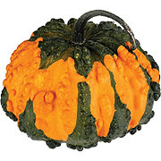 H-E-B Texas Roots Frankengourd Pumpkin