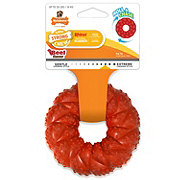 Nylabone Beef Flavor Braided Ring Dog Chew Toy