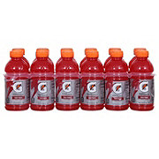 Gatorade Thirst Quencher12 oz Bottles - Fruit Punch 