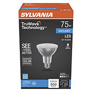 Sylvania TruWave PAR30 75-Watt LED Flood Light Bulb - Daylight