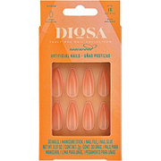 Diosa Long Stiletto Artificial Nails – Truly Hue Rosewood