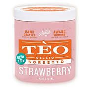 Talenti Roman Raspberry Dairy-Free Sorbetto