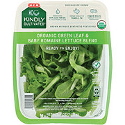 H-E-B Kindly Cultivated Fresh Organic Green Leaf & Baby Romaine Lettuce Blend