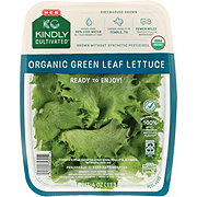 H-E-B Kindly Cultivated Fresh Organic Green Leaf Lettuce 