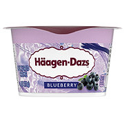 Haagen-Dazs Cultured Crème Yogurt Style Snack – Blueberry