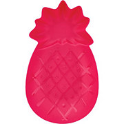 Destination Holiday Pineapple Tray - Pink