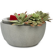 Fusion Succulent Bowl Hot Plate Wax Warmer