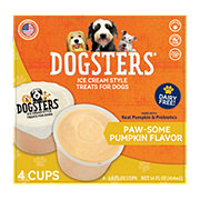 Dogsters Pumpkin Ice Cream Dog Treats