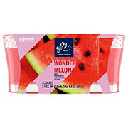 Glade Fresh Berries and Wild Raspberry Wax Melts - Shop Scented Oils & Wax  at H-E-B