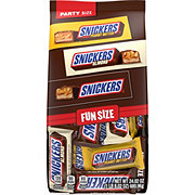 Snickers Assorted Fun Size Chocolate Candy - Party Size