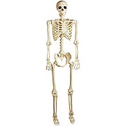 Destination Holiday Halloween Light Up Lifesize Posable Skeleton