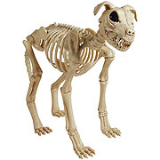 Destination Holiday Halloween Buster Bonez Skeleton