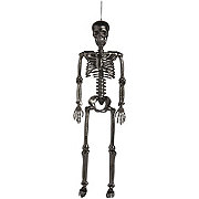 Destination Holiday Halloween Posable Skeleton - Slate