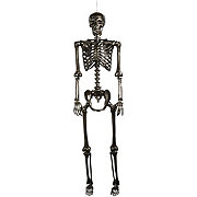 Destination Holiday Halloween Lifesize Posable Skeleton - Slate