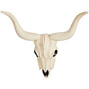 Destination Holiday Halloween Longhorn Skull