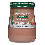 Beech-Nut Organics Stage 2 with Prebiotics Baby Food - Banana Berry