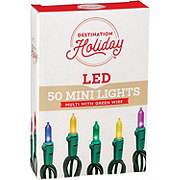 Destination Holiday Mini Multi Color LED Christmas Lights - Green Wire