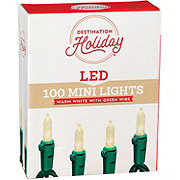 Destination Holiday Mini Warm White LED Christmas Lights - Green Wire