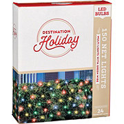 Destination Holiday Net Multi Color LED Christmas Lights - Green Wire