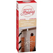 Destination Holiday LED Hanging Light Starburst