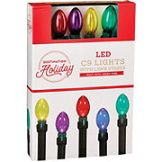 Destination Holiday C9 LED Christmas Lights & Yard Stakes - Multi Color