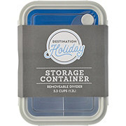 Destination Holiday Storage Container with Removable Divider - Blue