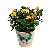 Floral Potted Rhinestone Butterfly Roses
