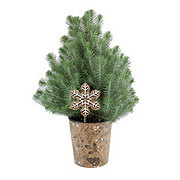 Floral Italian Stone Pine Decor