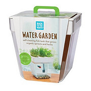 Back To The Roots Water Garden 2.0 - Shop Potted Plants at H-E-B