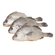 Fish Market Whole Red Drum - Shop Fish at HEB