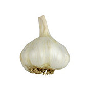 Fresh Garlic